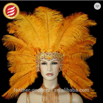 Feather headdress