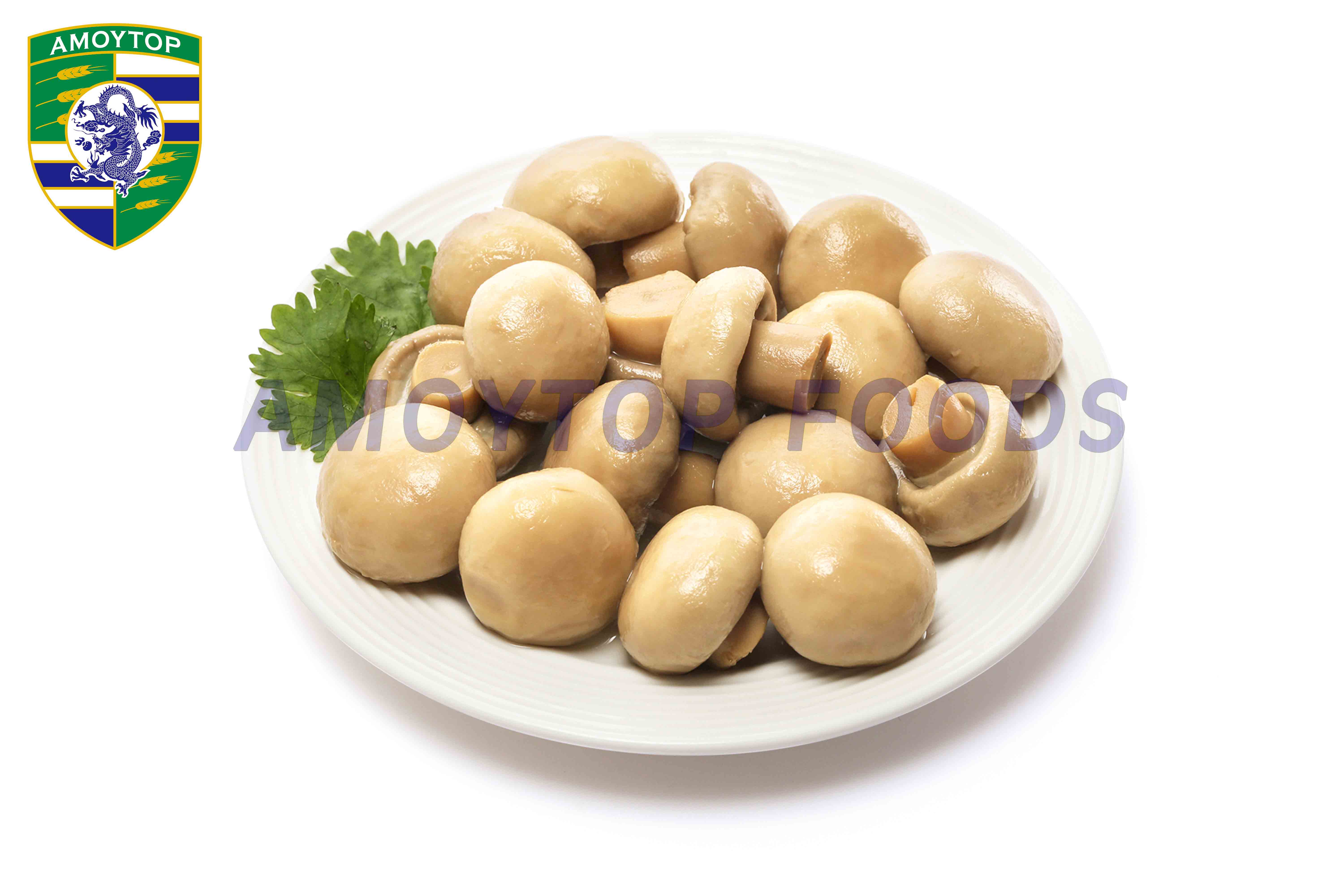 Canned Mushroom