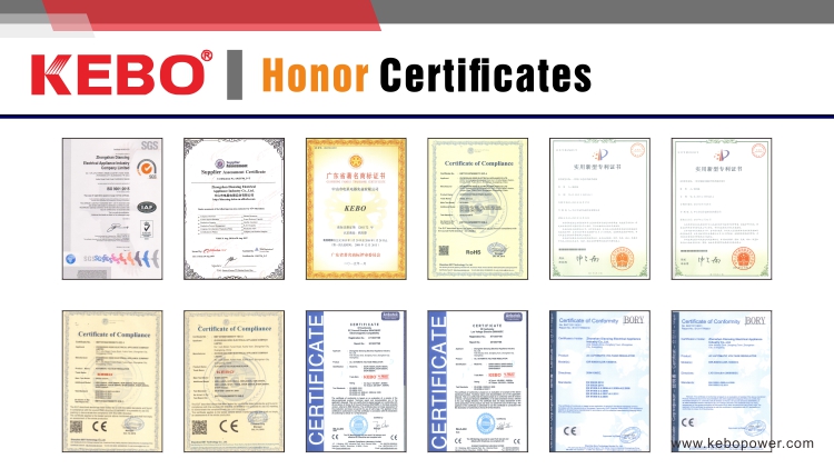 Zhongshan Dianxing Electrical Appliances Industrial Co., Ltd. – Electronic voltage stabilizer 1