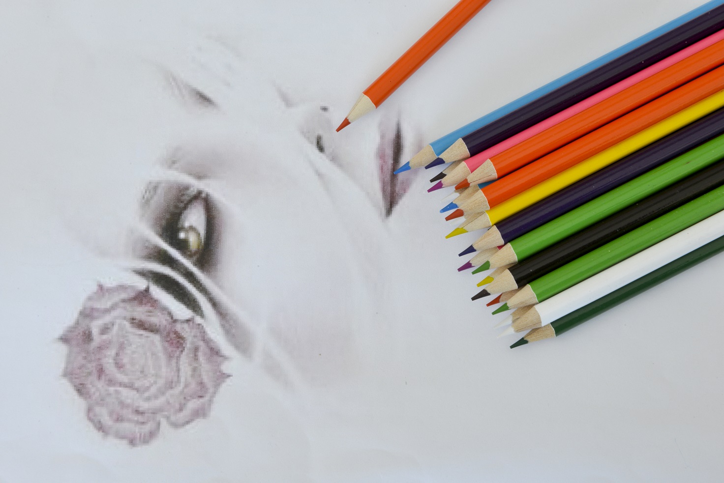 color pencil