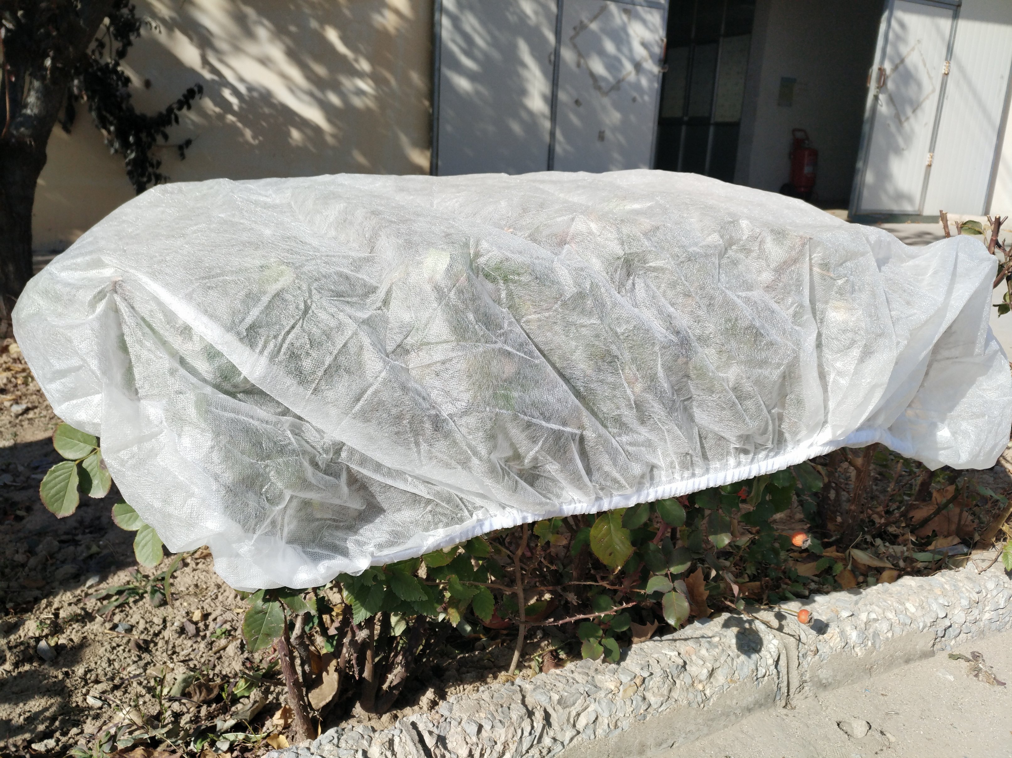 nonwoven winter plant protector PP nonwoven frost protection bag with elastic