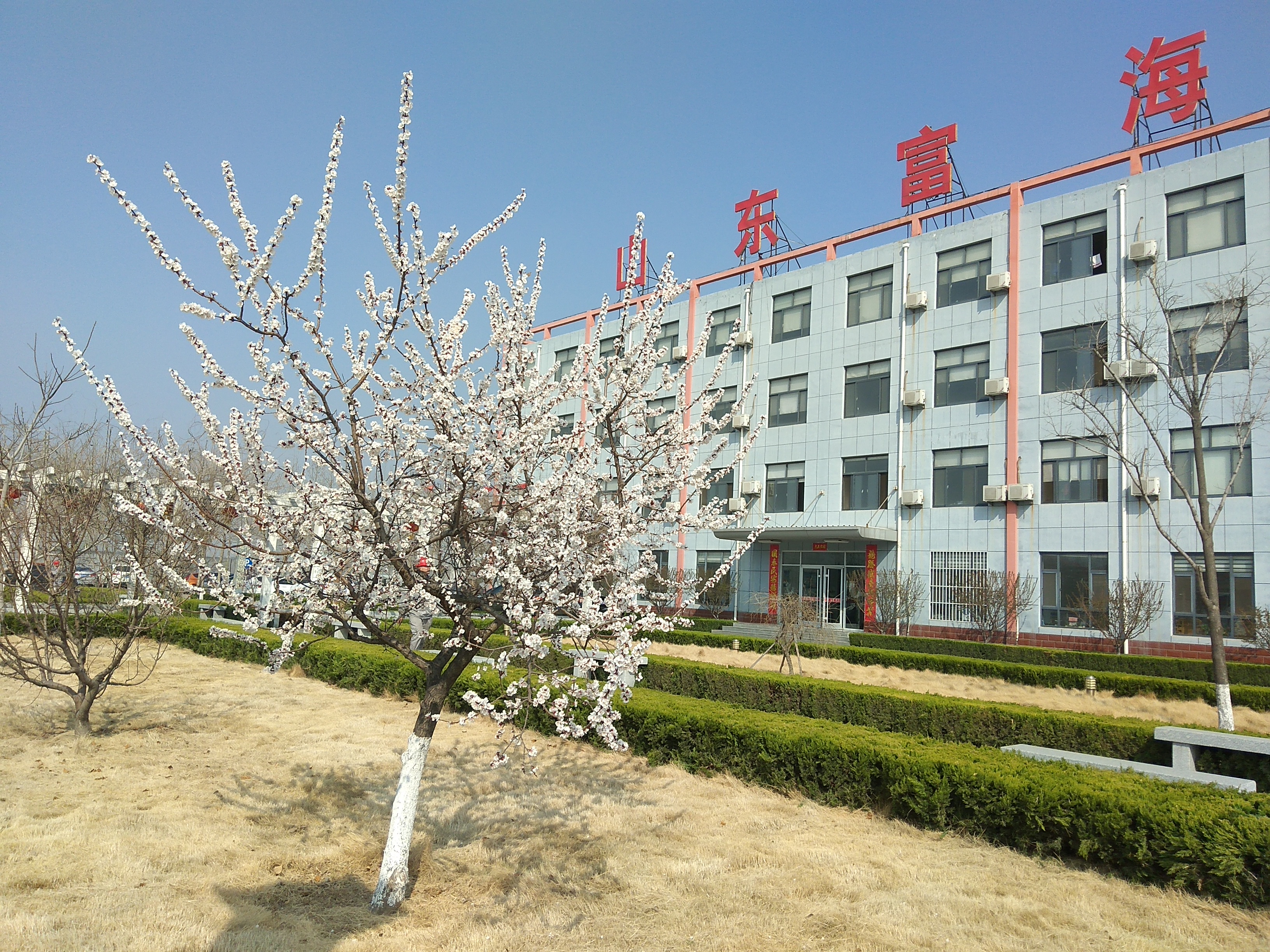 Shandong Boxing Juxinyuan Precision Thin Plate Co., Ltd. – galvanized corrugated sheet 3