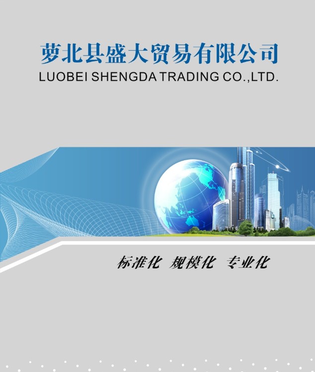 Luobei County Shengda Trading Co., Ltd. – Holiday lights 1