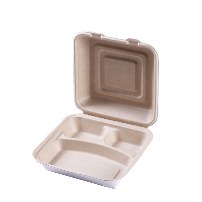 Biodegradable Sugarcane Bagasse 9"x9"inch 3-Compartment Box