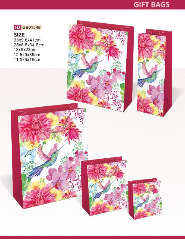Paper Gift Bag