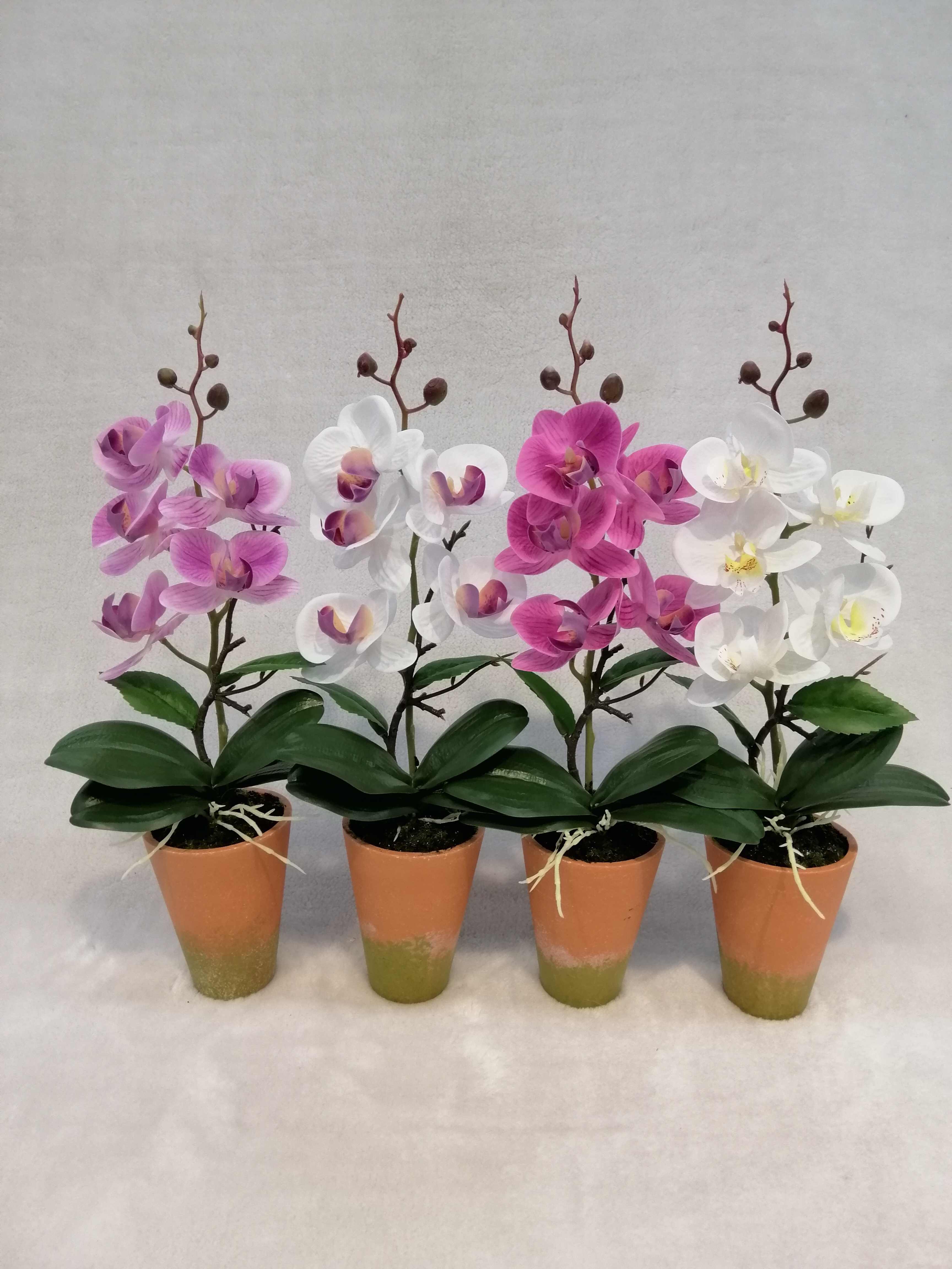 (Rubber)potted Orchid