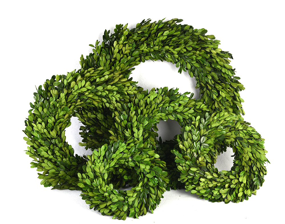 Shanghai Senao Horticulture Co., Ltd. – Product photos 2