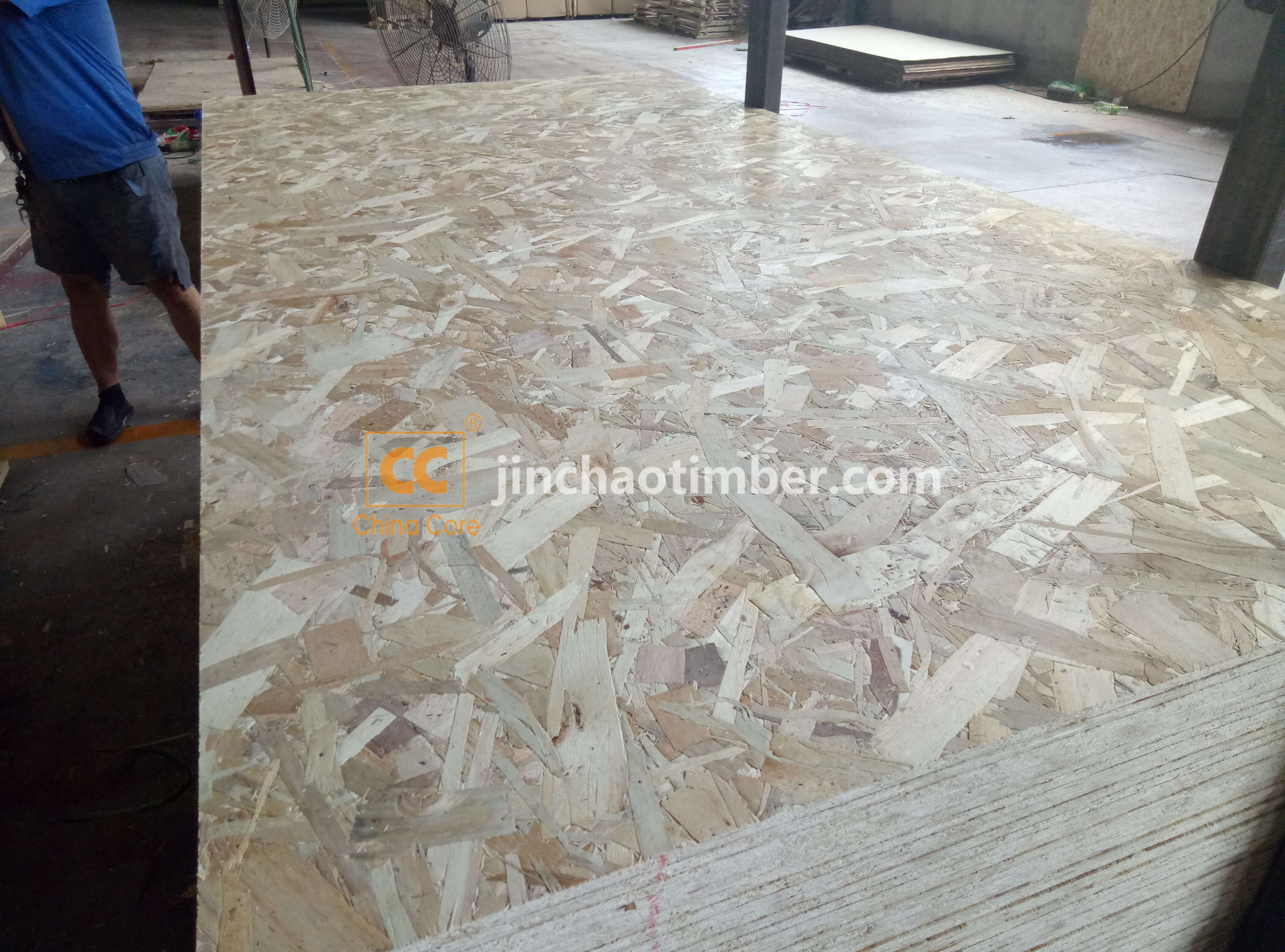 OSB3/OSB Board/Oriented strand board