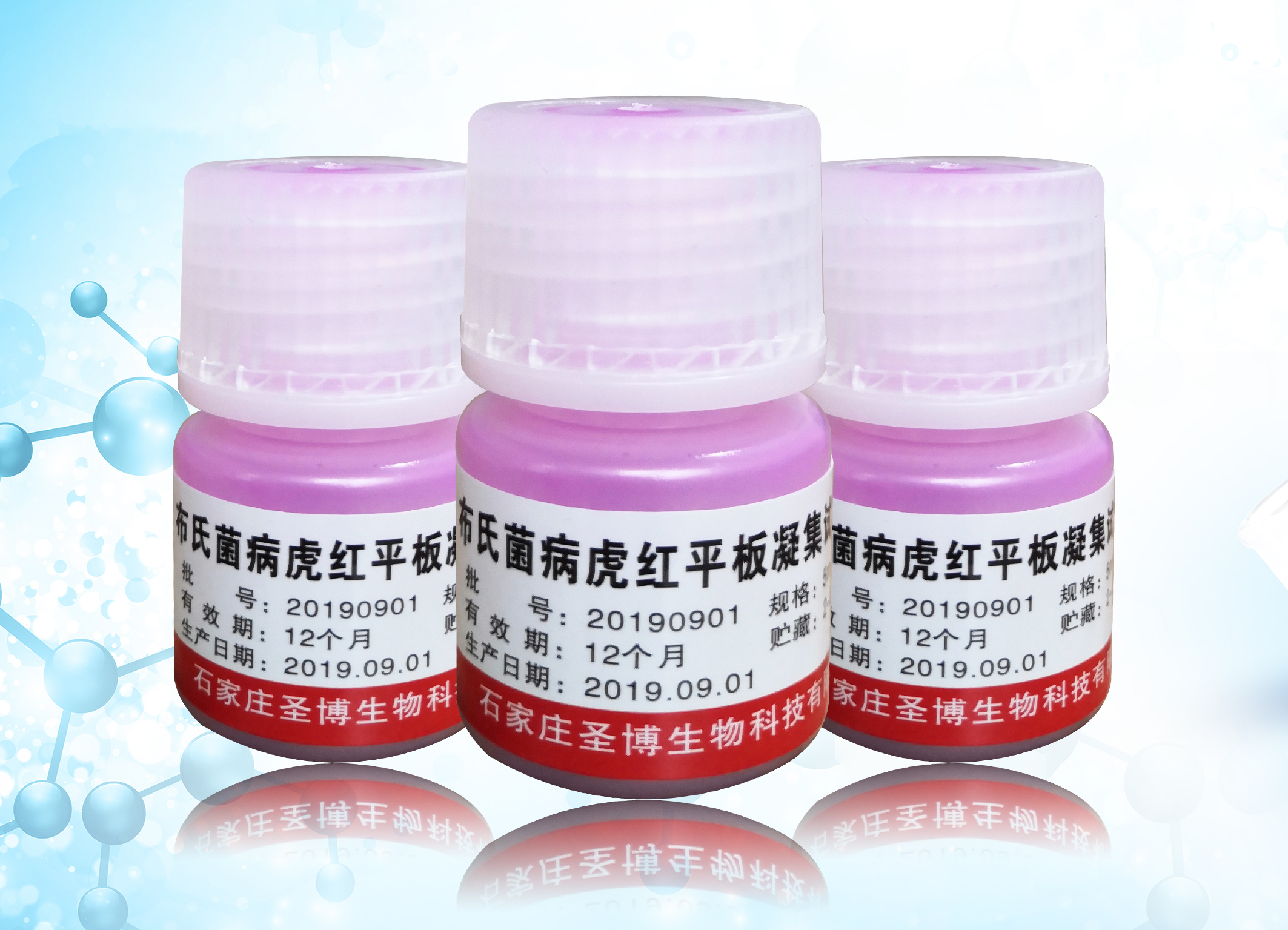 Brucella Antigen for Rose-Bengal Plate Agglutination Test