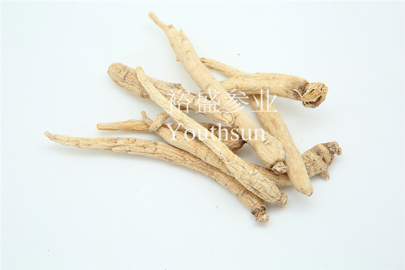 American Ginseng Small Roots