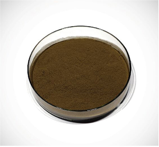 Hebei ZB-Gamay Biological Technology Co.,Ltd – bicicleta de montaña 3