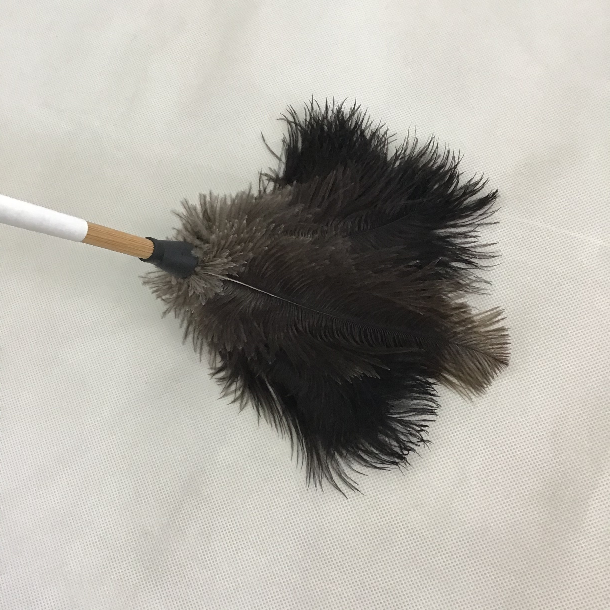 black ostrich feather duster with long and thin handle