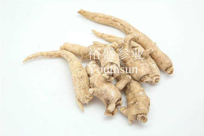 American Ginseng