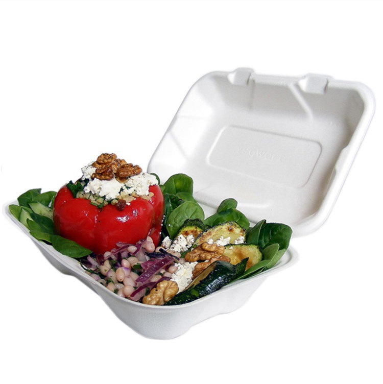 Biodegradable Disposable Sugarcane Bagasse Lunch Box