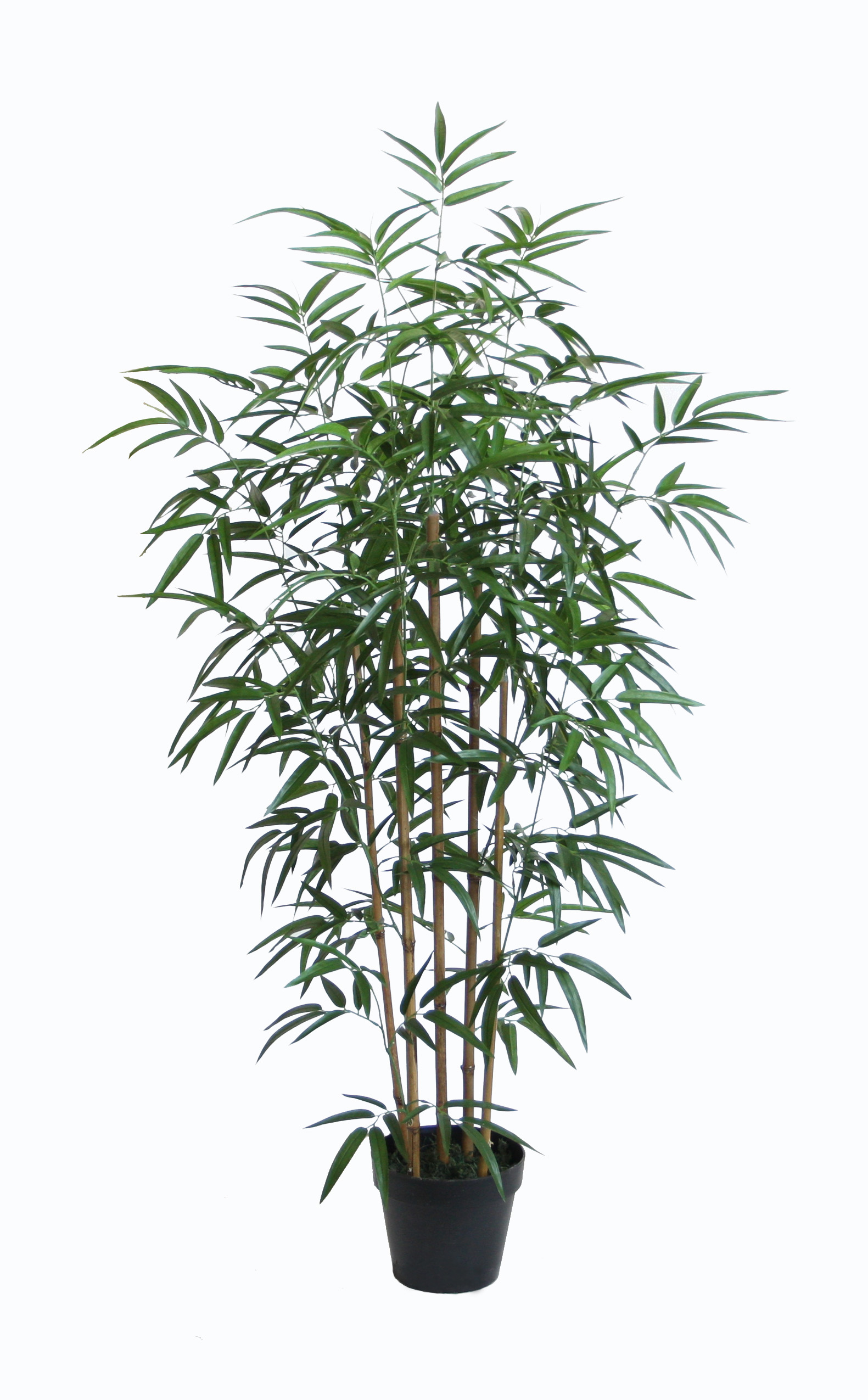 130CM Bamboo Real Stems