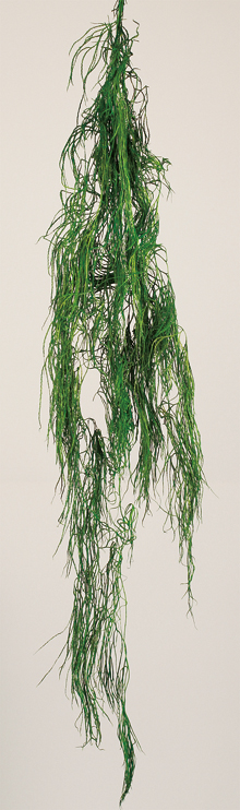 Licopodium Vine(preserved)(dry flower;dried flower)