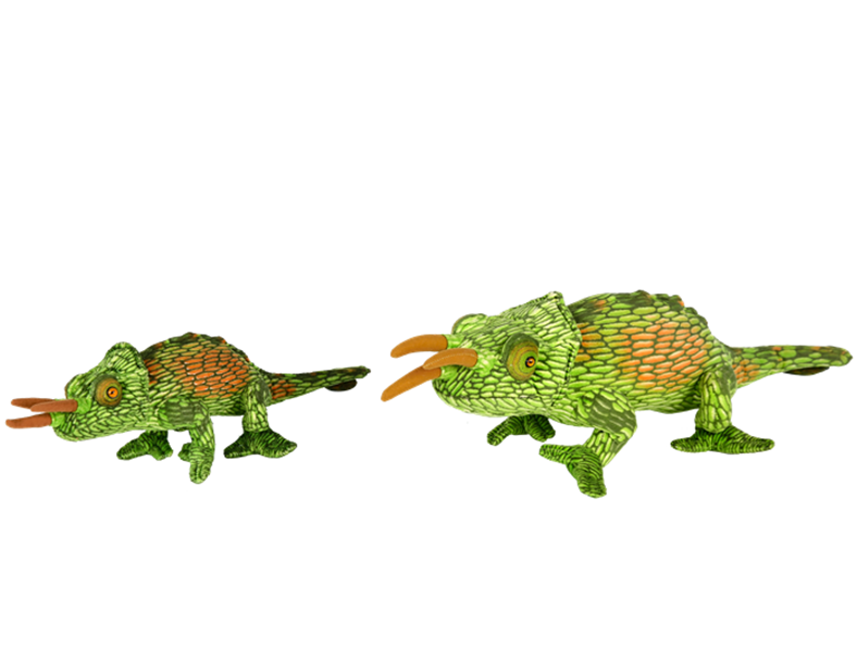 Salamander
