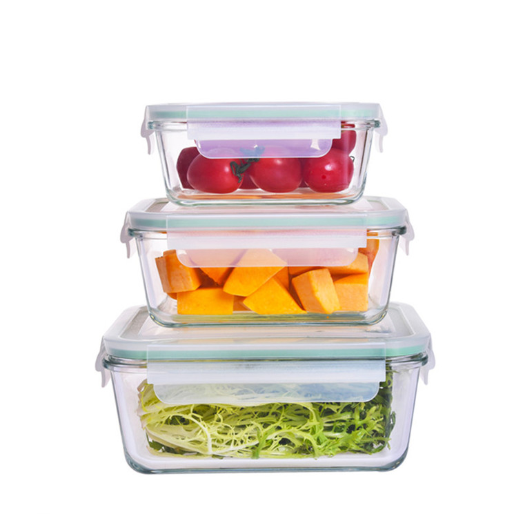 Borosilicate glass food container