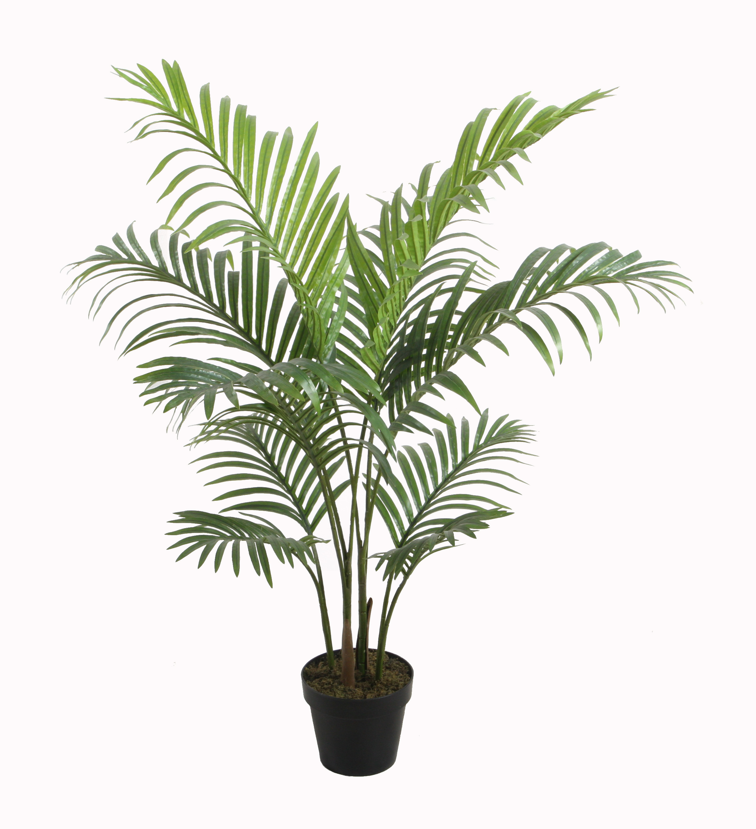 100CM Areca Palm