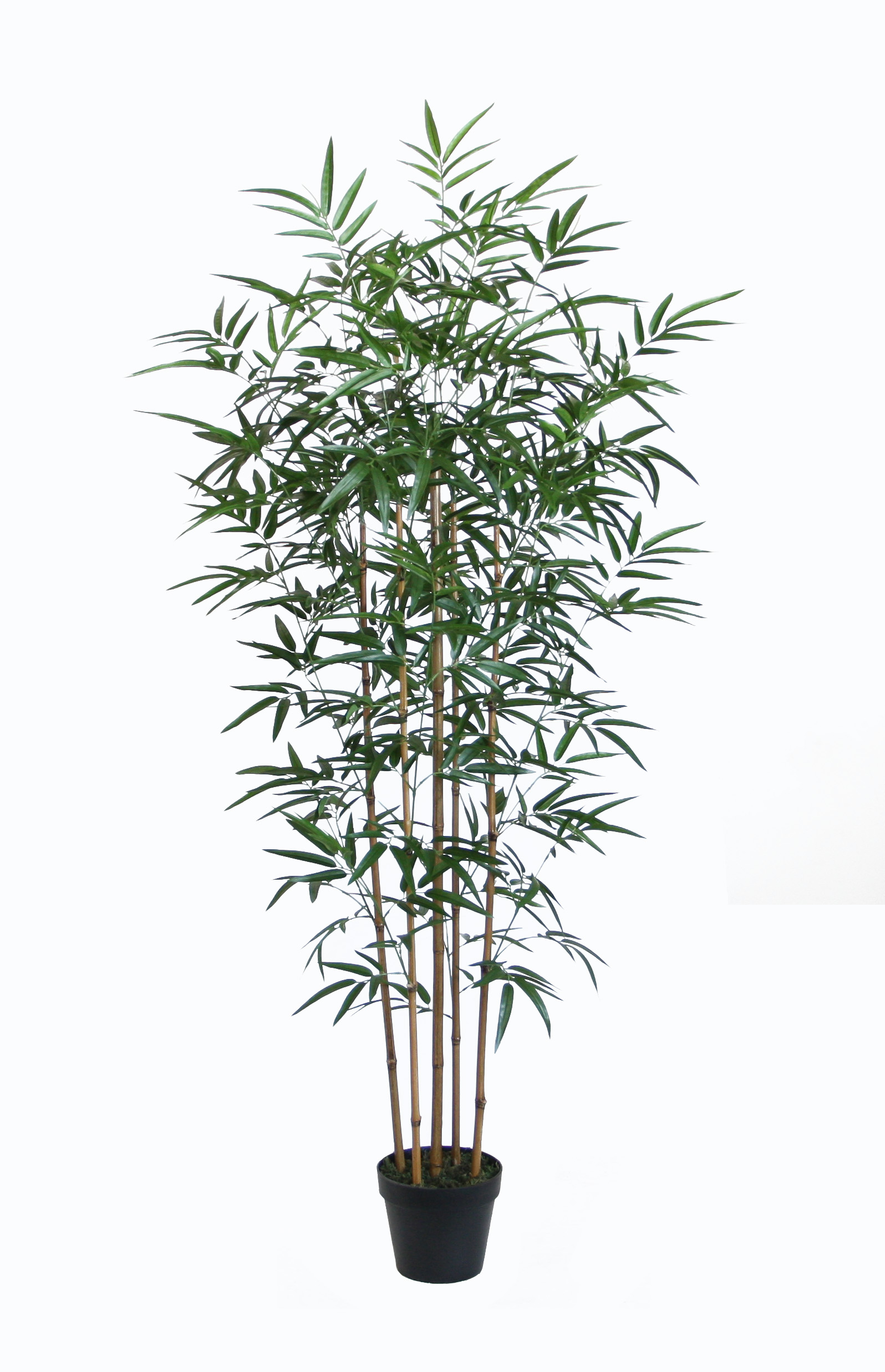 155CM Bamboo Real Stems