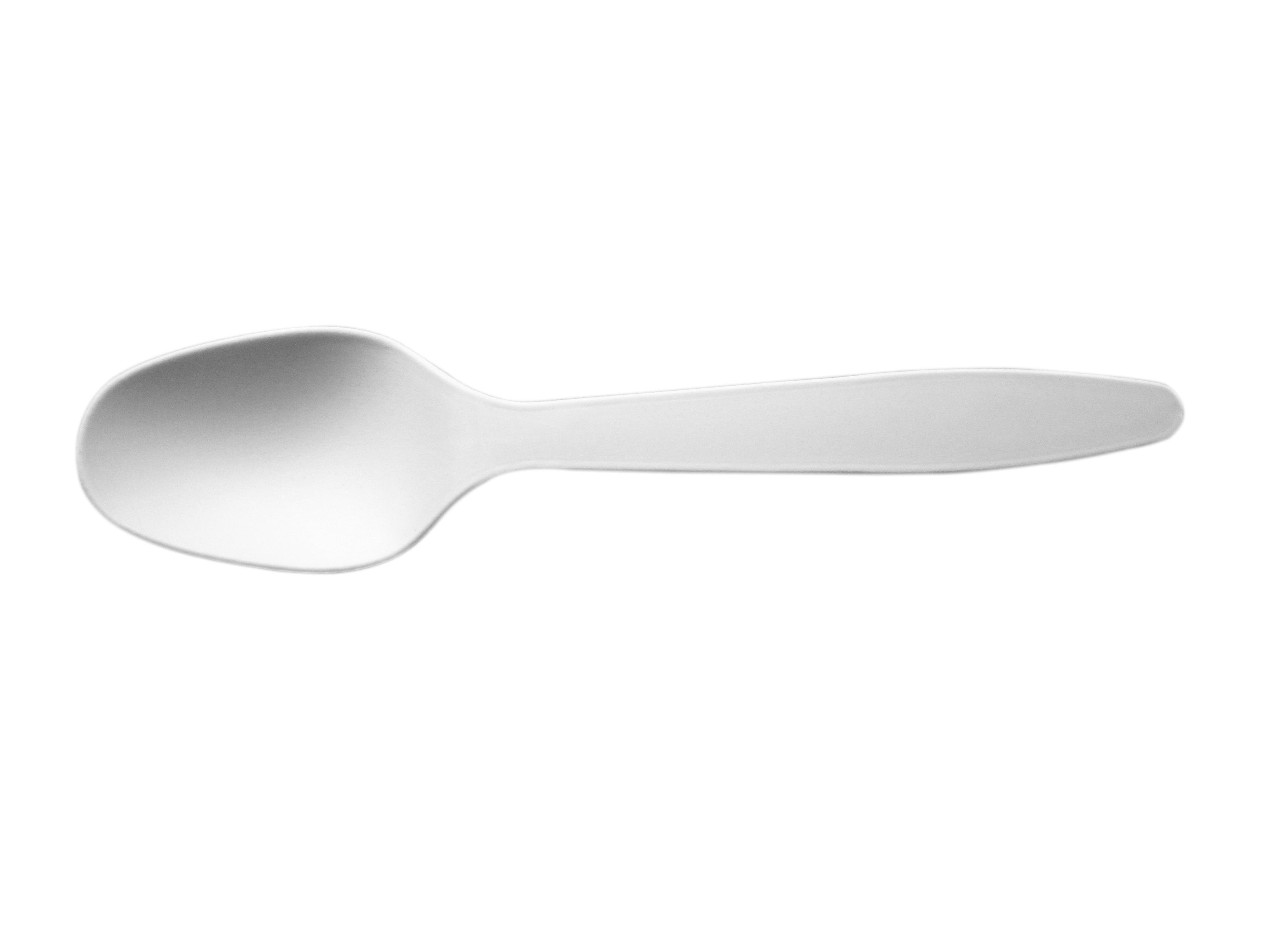 Biobased Spoon