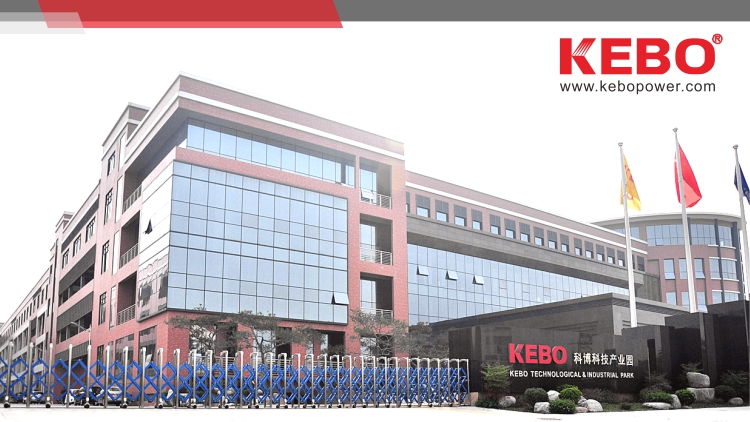 Zhongshan Dianxing Electrical Appliances Industrial Co., Ltd. – AC voltage stabilizer 2