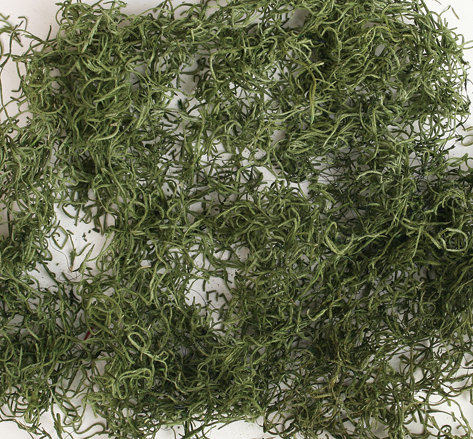 Spain Moss(Preserved)(dry flower;dried flower)