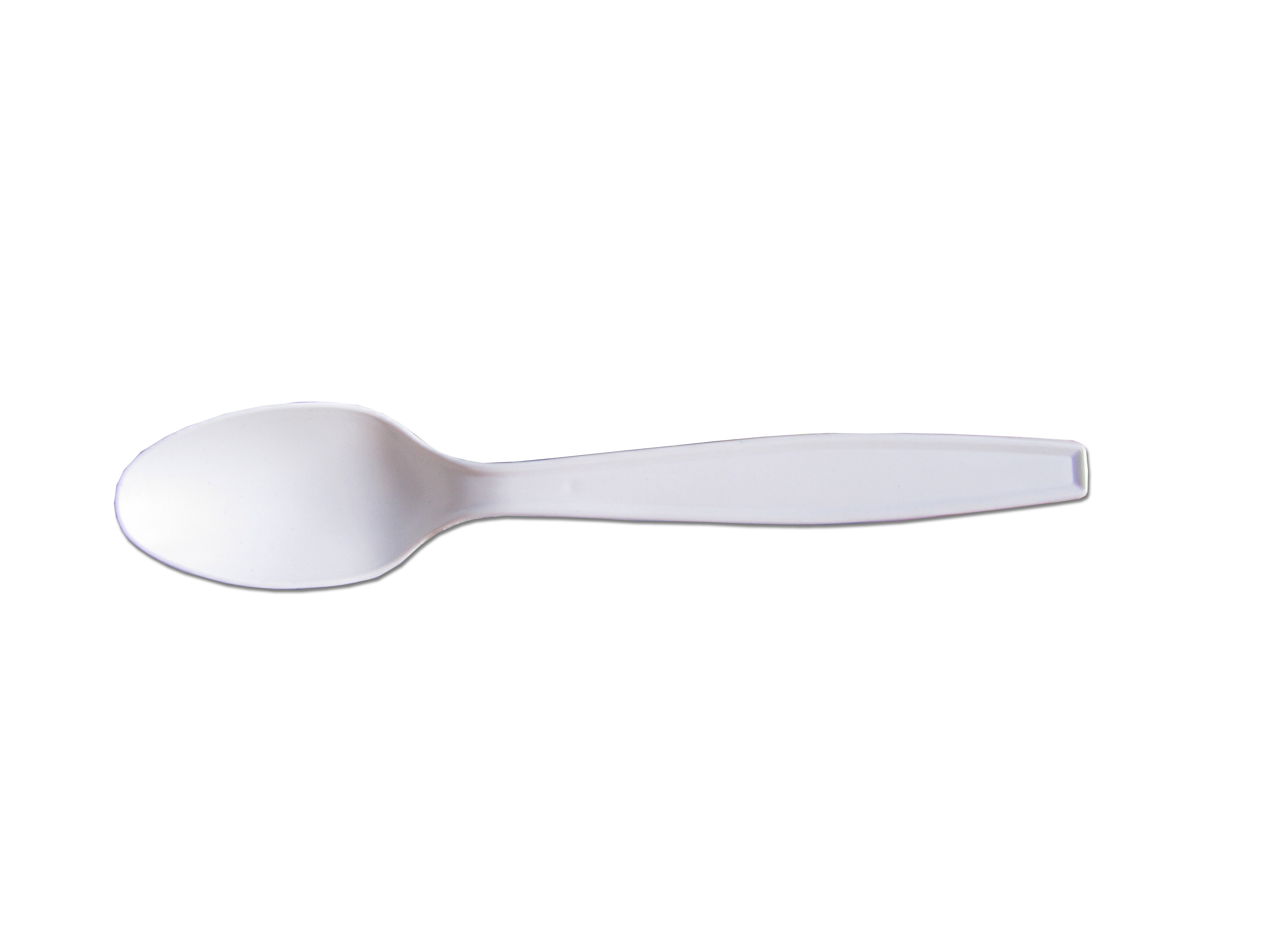 Biobased Spoon