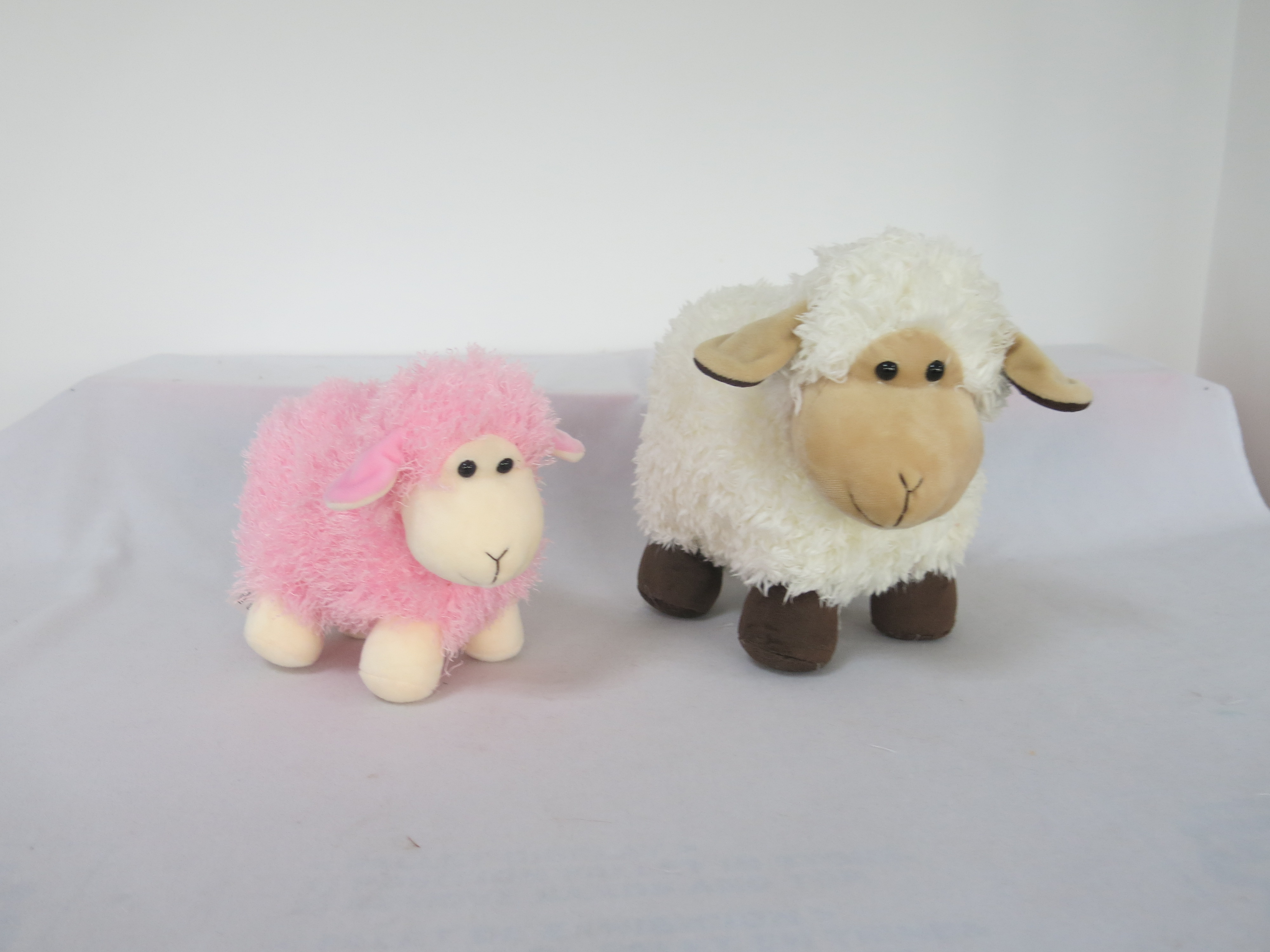 SHEEP