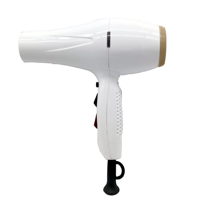 Hair dryer