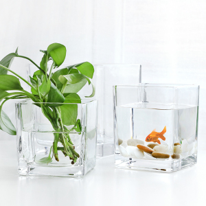 4inch Square glass vase