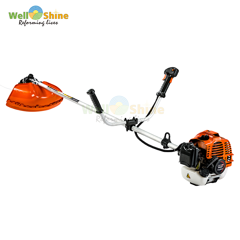 Zhejiang Well Shine Industry&Trade Co.,Ltd – clavo de hierro 2