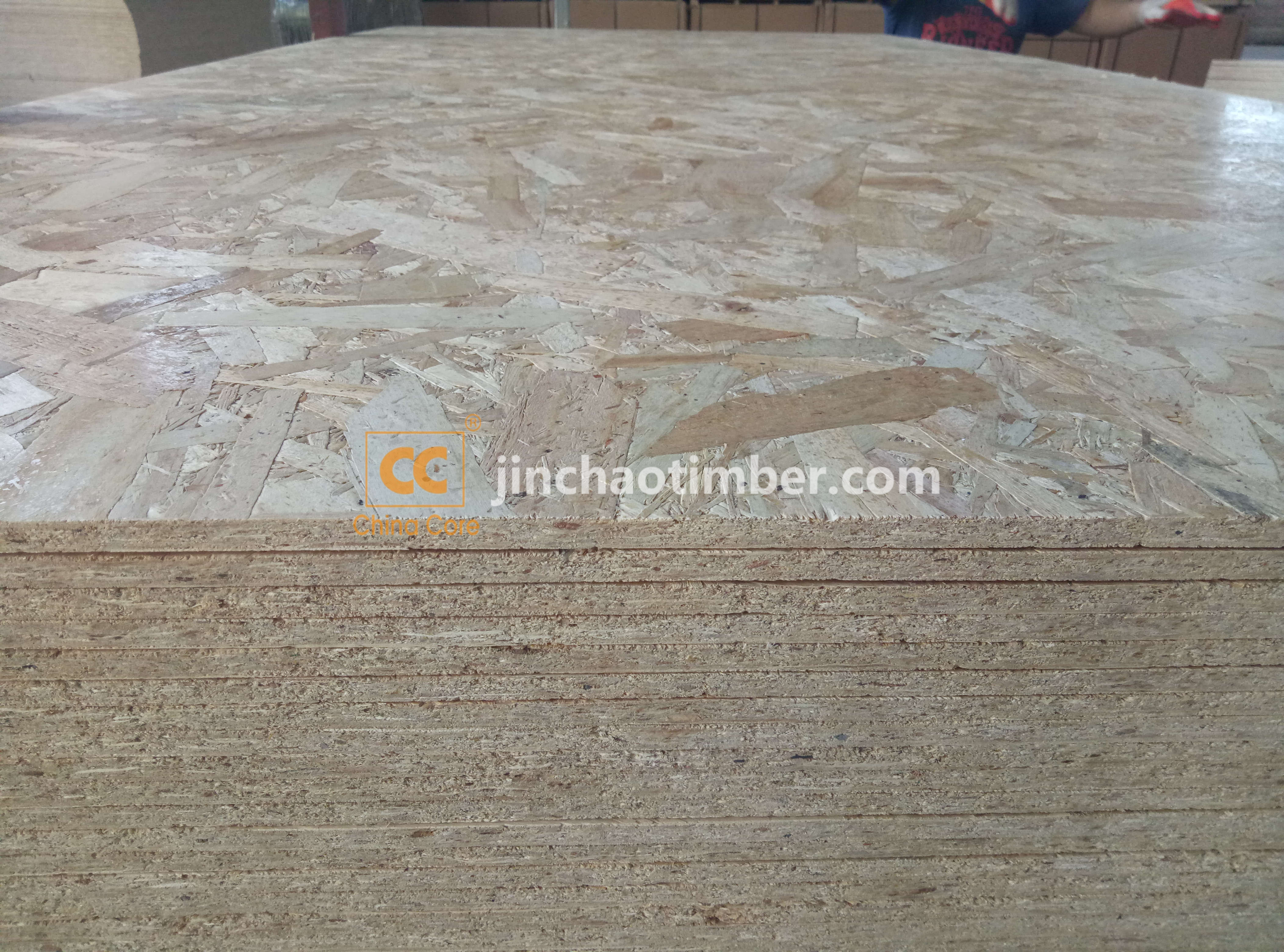 OSB edges sealed with green waterproof paint