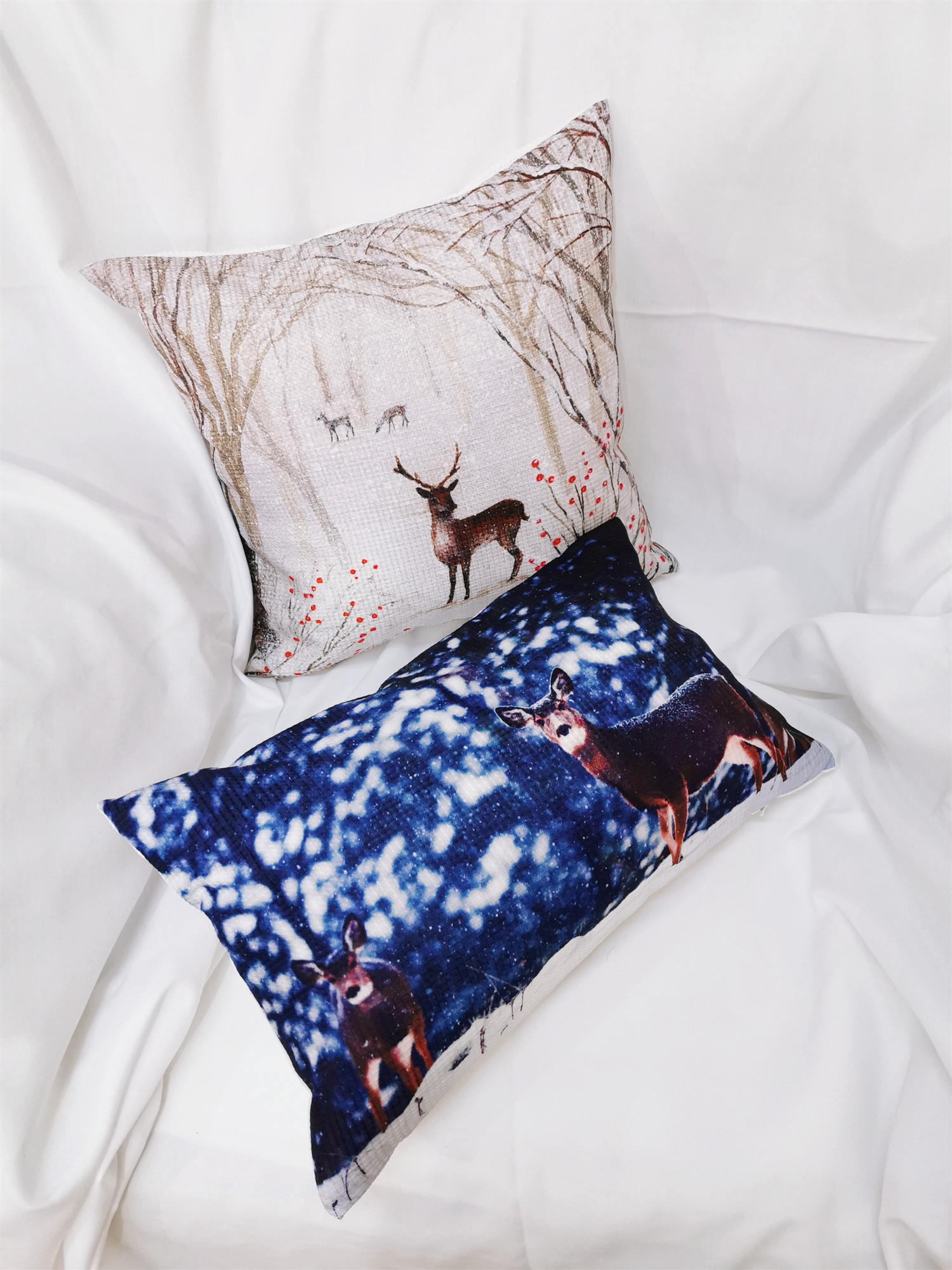 cushion