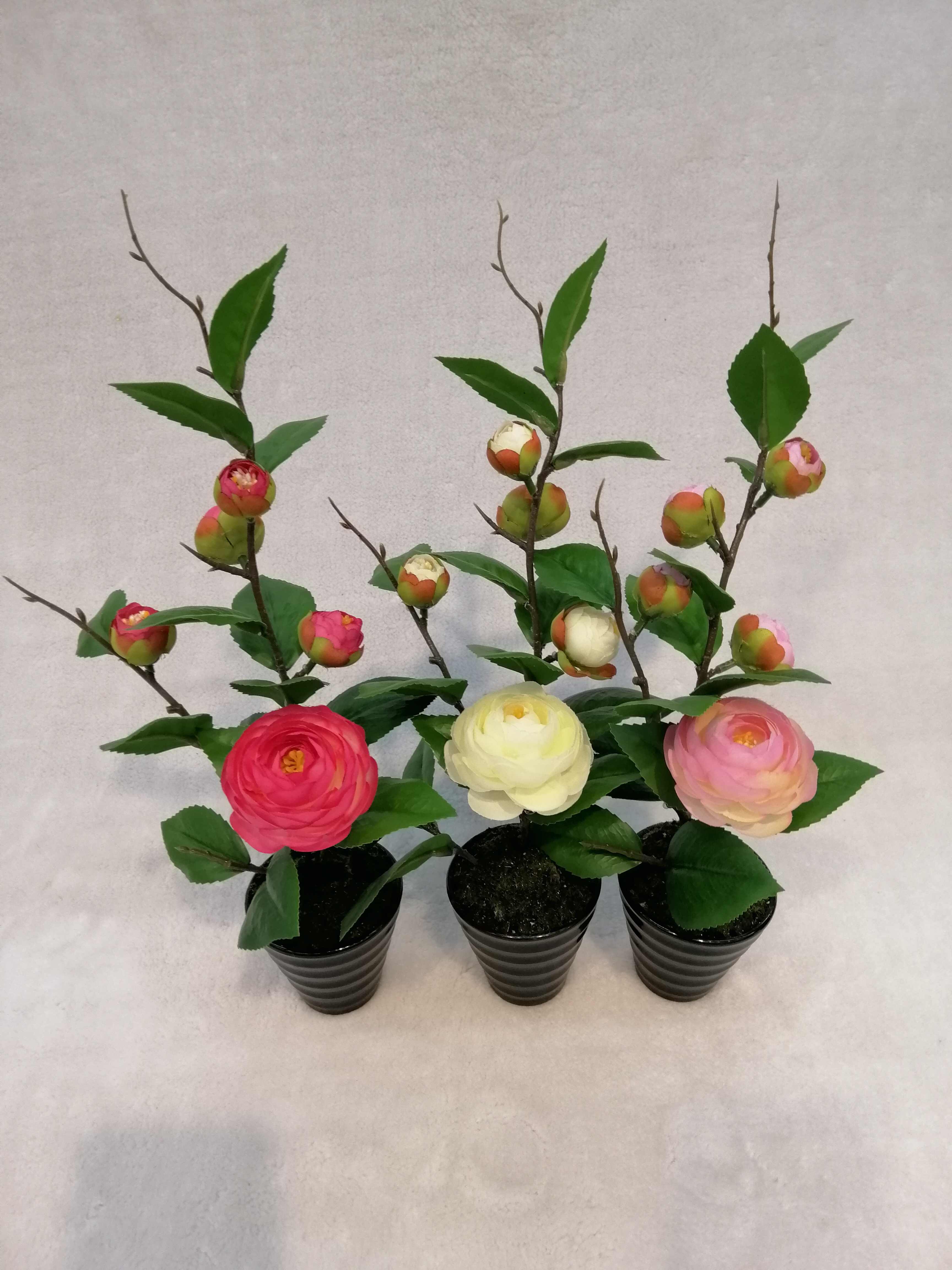 Mini Potted Rose