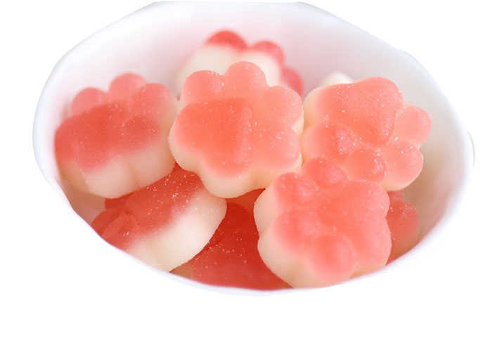 GD150Q jelly candy depositing line