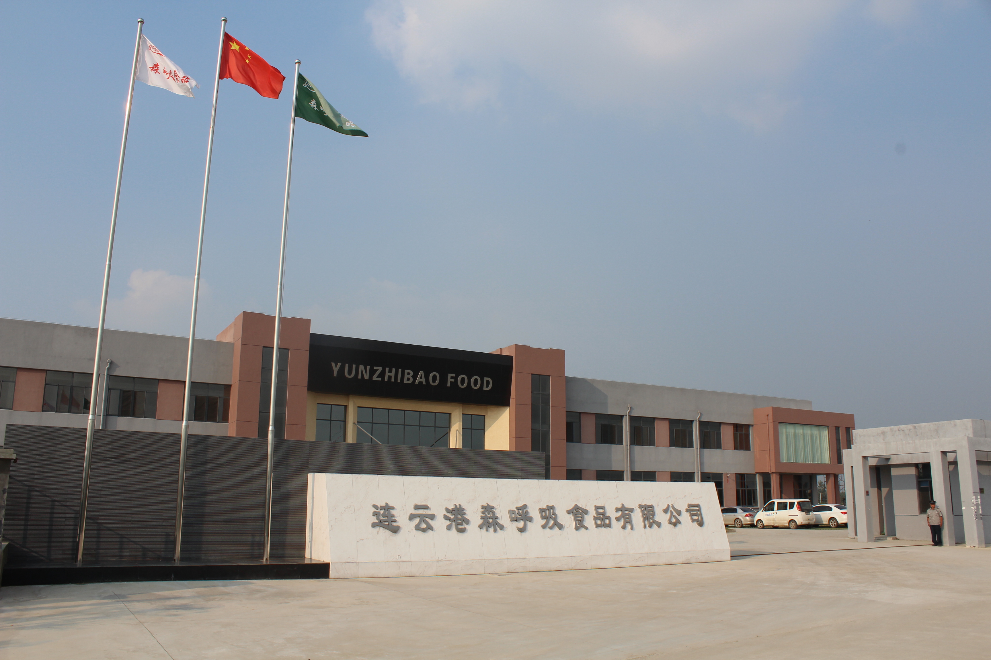 Lianyungang Forest Breath Food Co., Ltd. – bubble gum 3