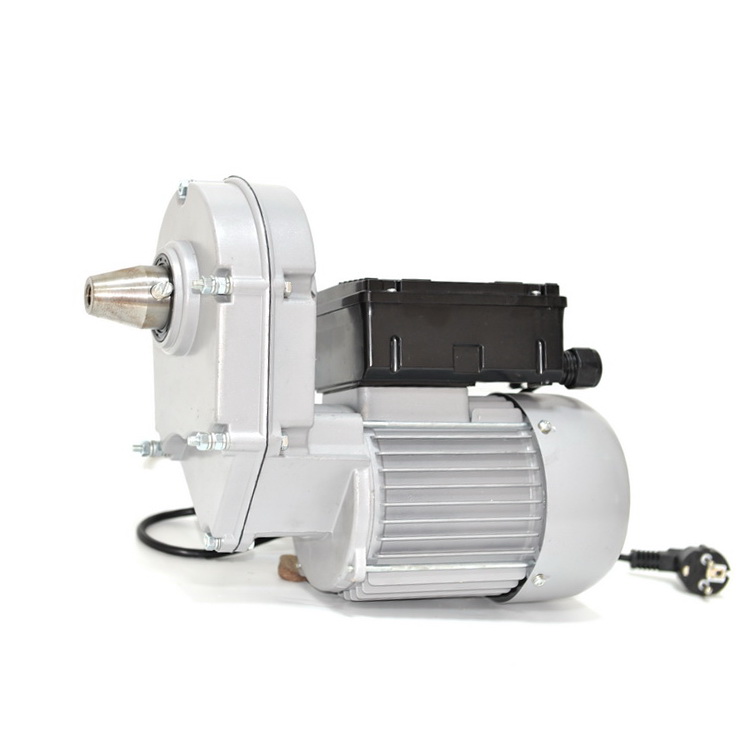 Customized ac single phase gear reducer motor -500W