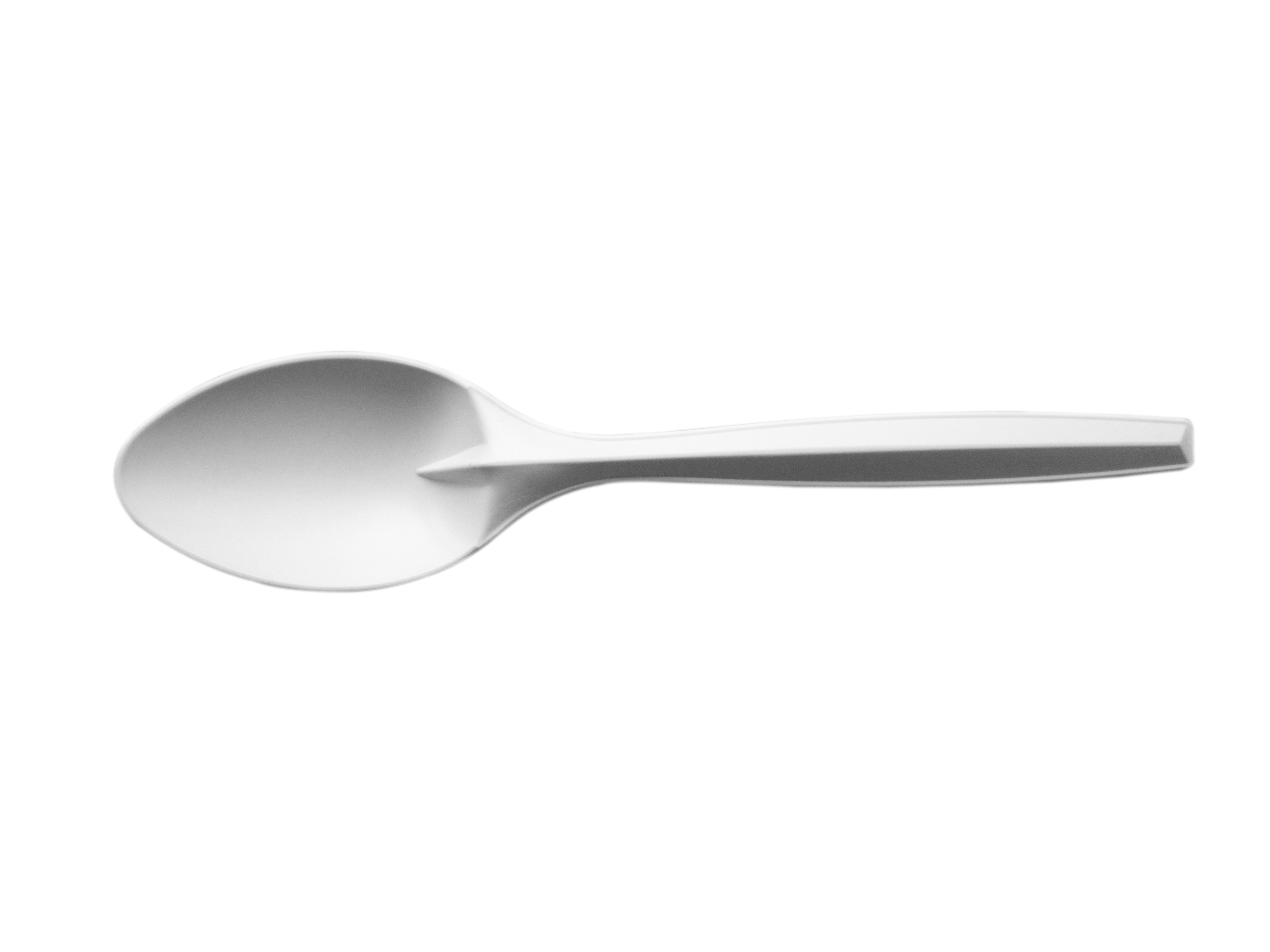 Biobased Spoon