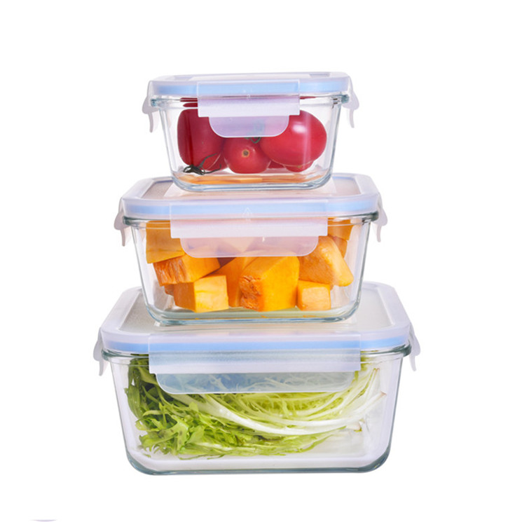 Borosilicate Glass Food Container