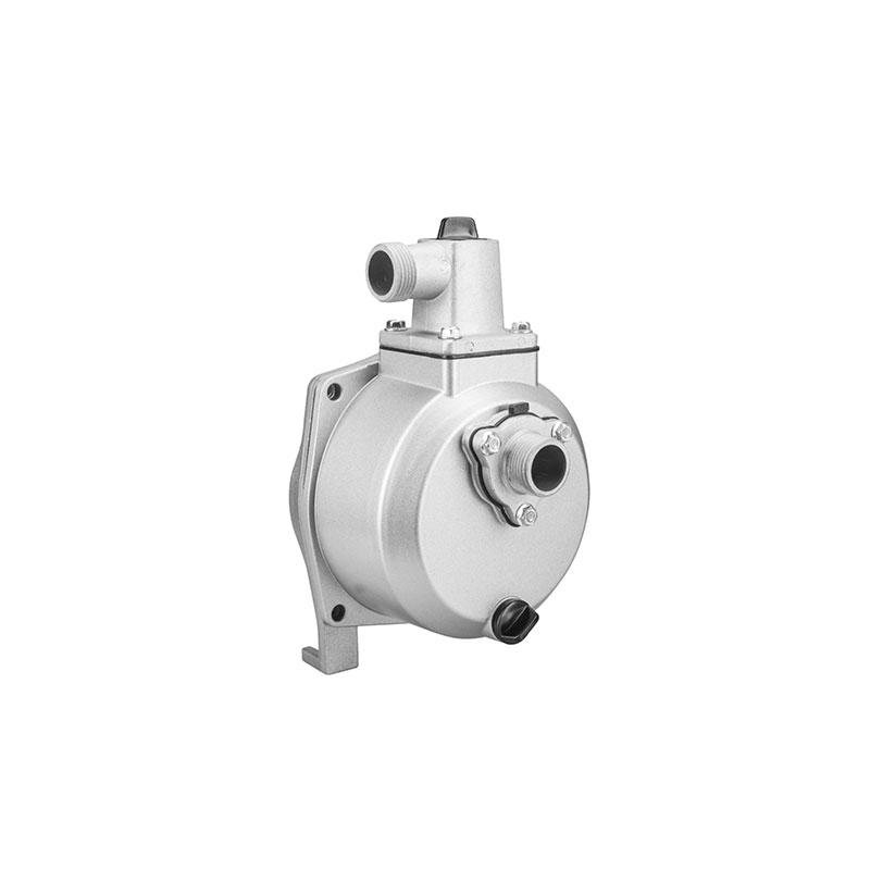 QINLI Parts 1"PUMP