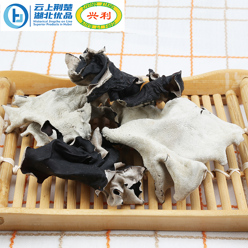 White Back Black Fungus