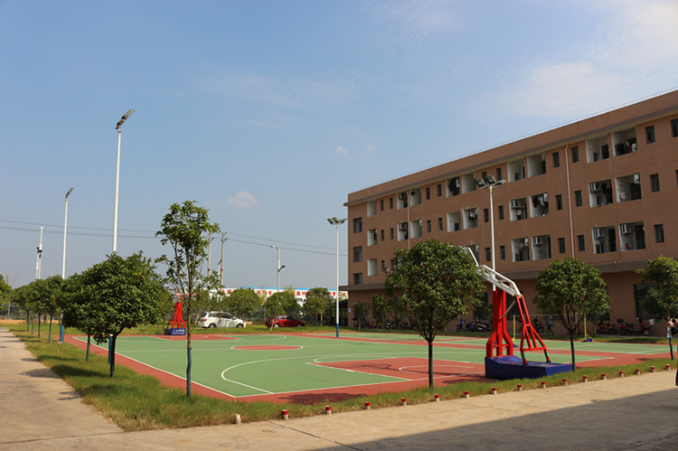 Guangdong Yuehui Technology Co., Ltd. – Product photos 3