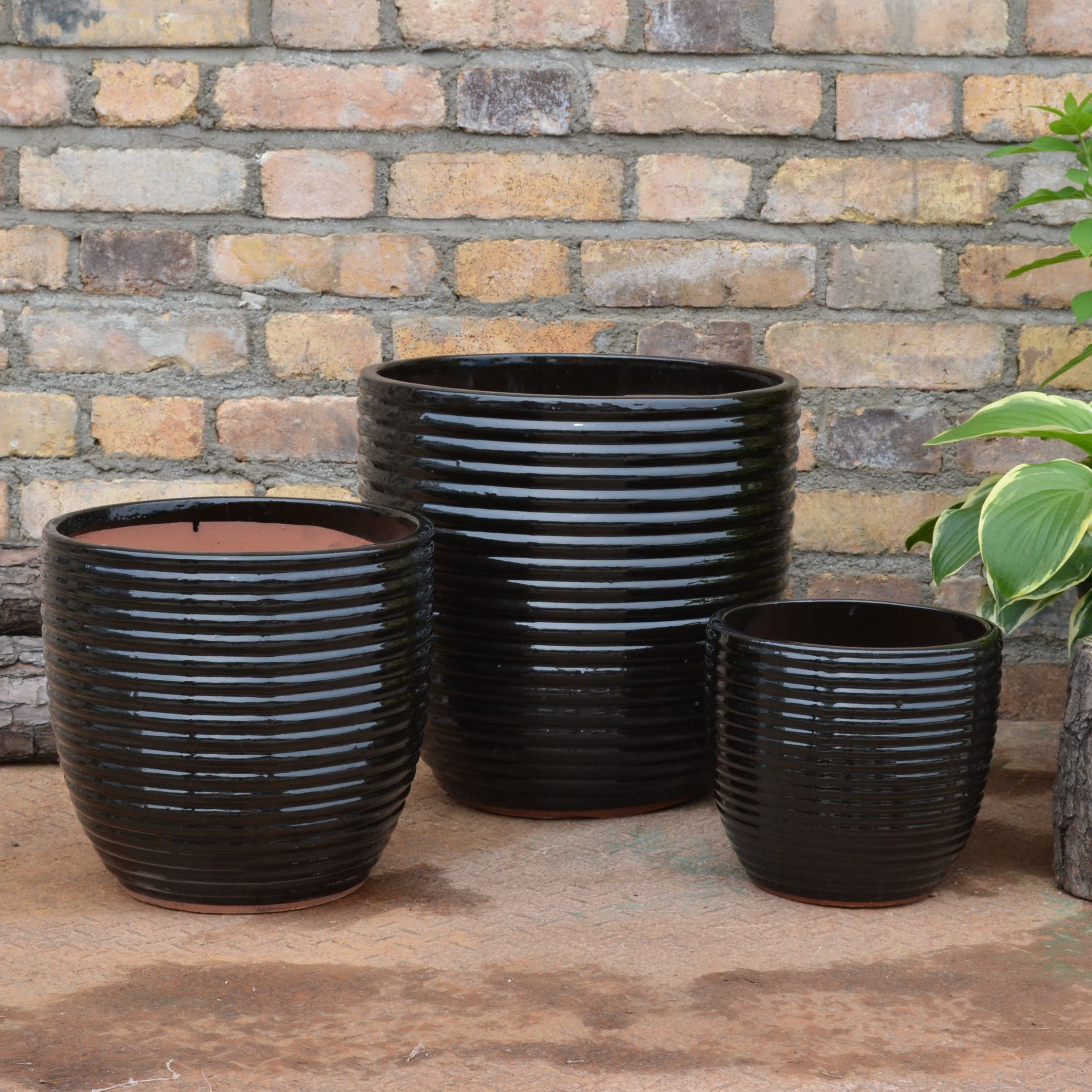 Ceramic Pot
