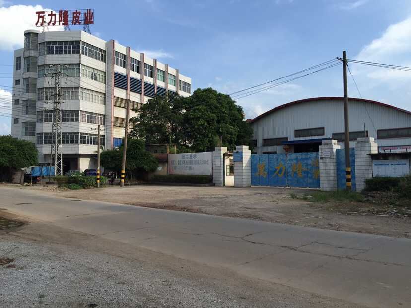Hengxian Wanlilong Leather Industry Co., Ltd. – Photos produits 2