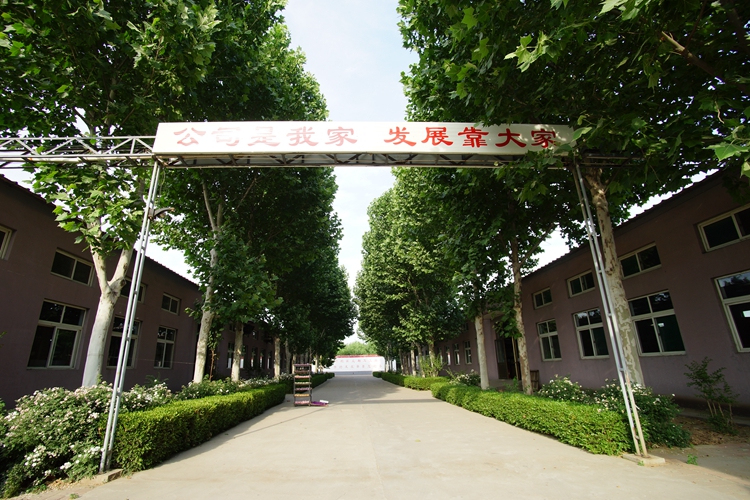 Shandong Shunyu Flower Decoration Co., Ltd. – artificial flowers 3