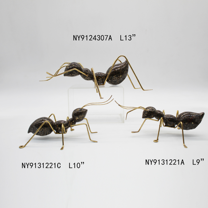 Ant