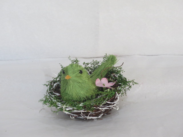 bird nest