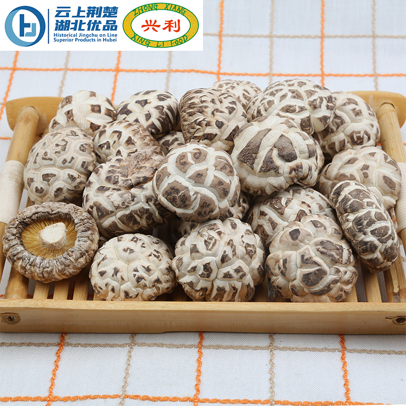 Autumn White Flower Mushroom TAA1 3-4CM
