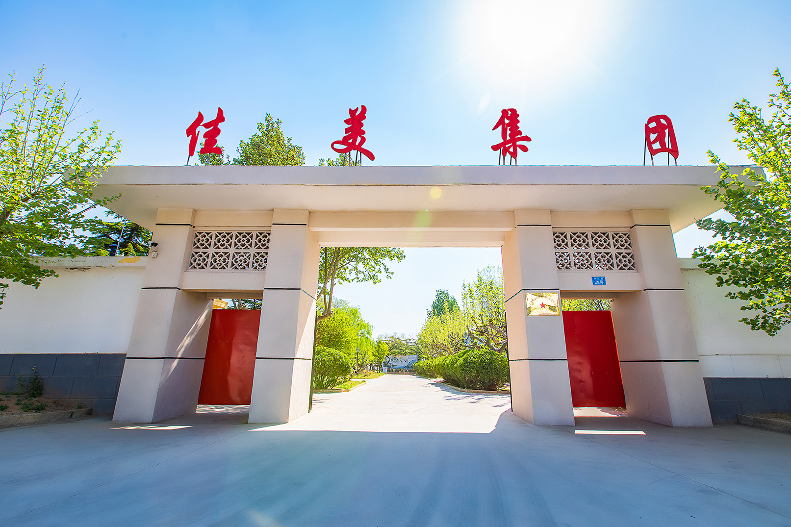 Weifang Hesen Import and Export Co., Ltd. – Product photos 2